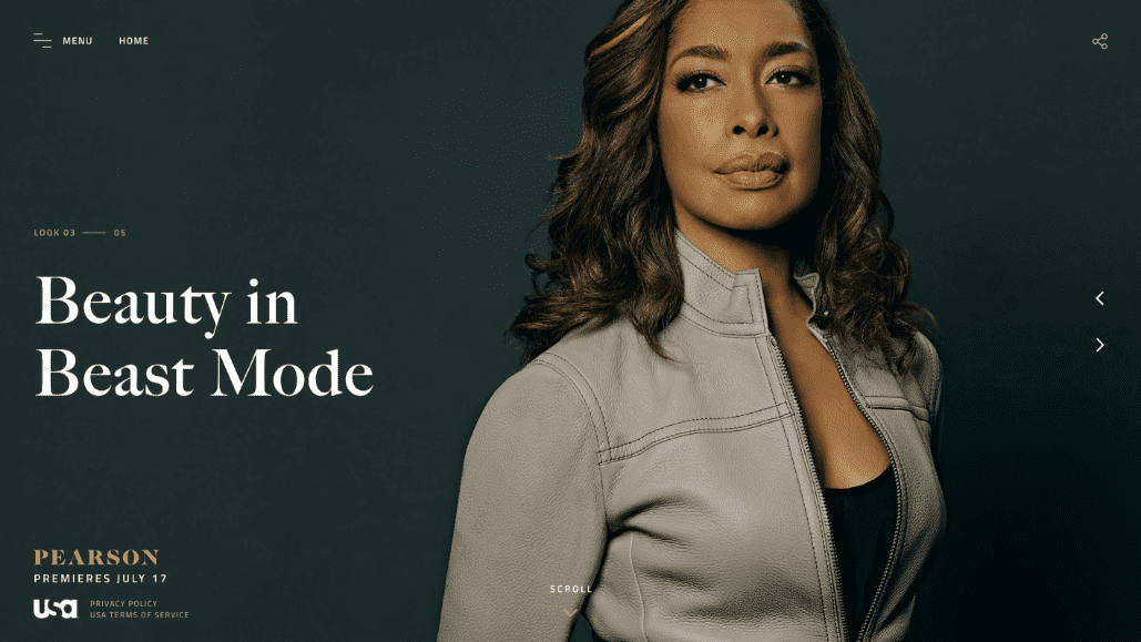 USA Network Pearson website