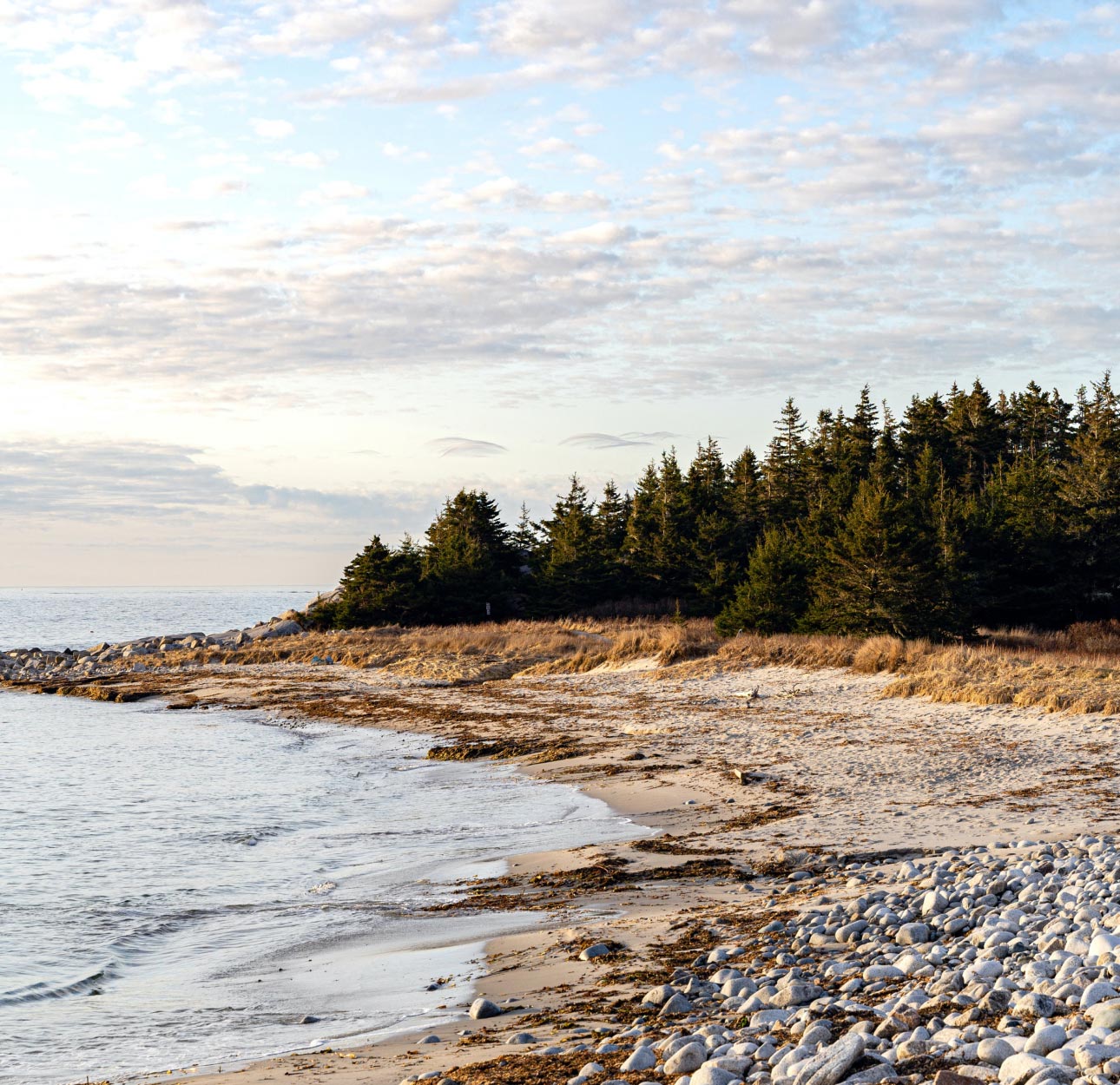 A Nova Scotian rocky beach in the evening.